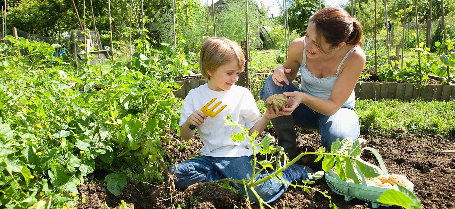 Allotments